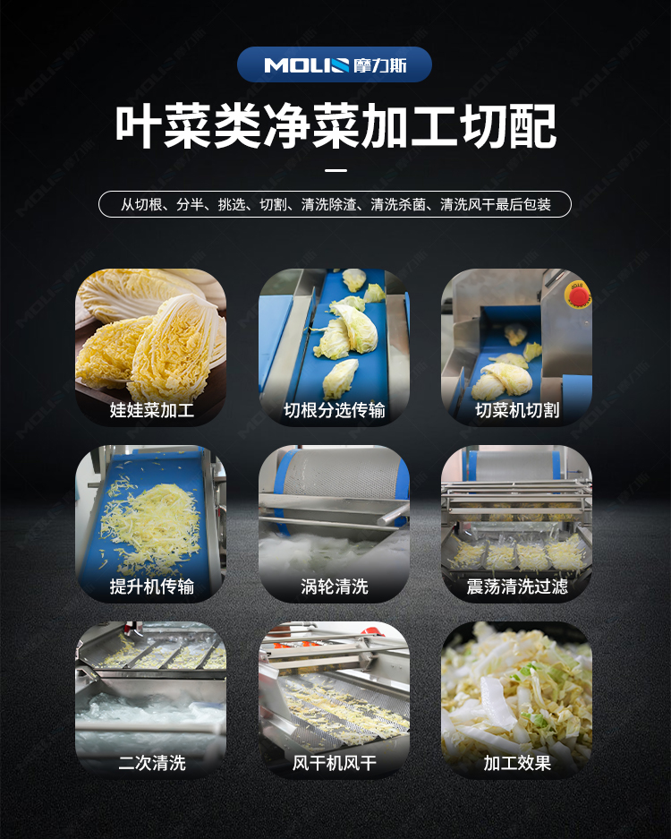 叶菜加工流水线详情页_03.jpg