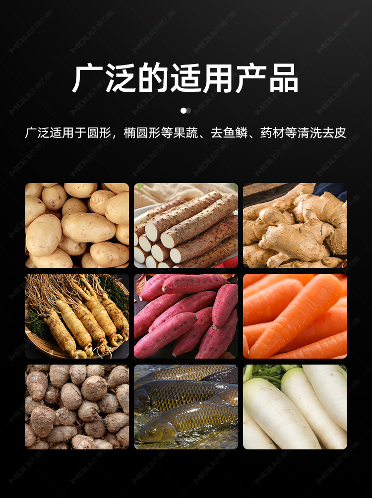 瓜果清洗去皮机_07.jpg