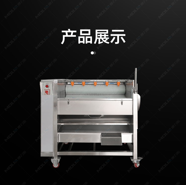 瓜果清洗去皮机_10.jpg