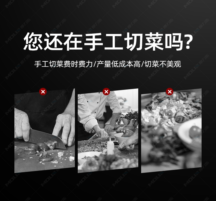 标准款双头切菜机_02.jpg