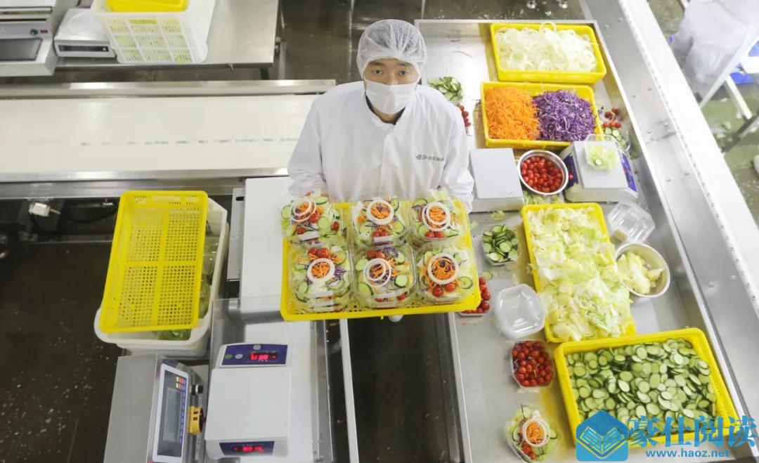 预制菜加工设备：打造高效生产线，提升食品加工效率